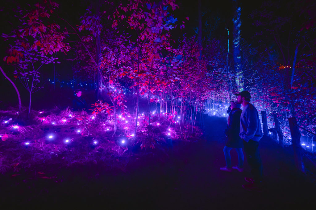 Event Spotlight: Lumina Enchanted Night Walks Is Coming To New York City! Get Tickets Now